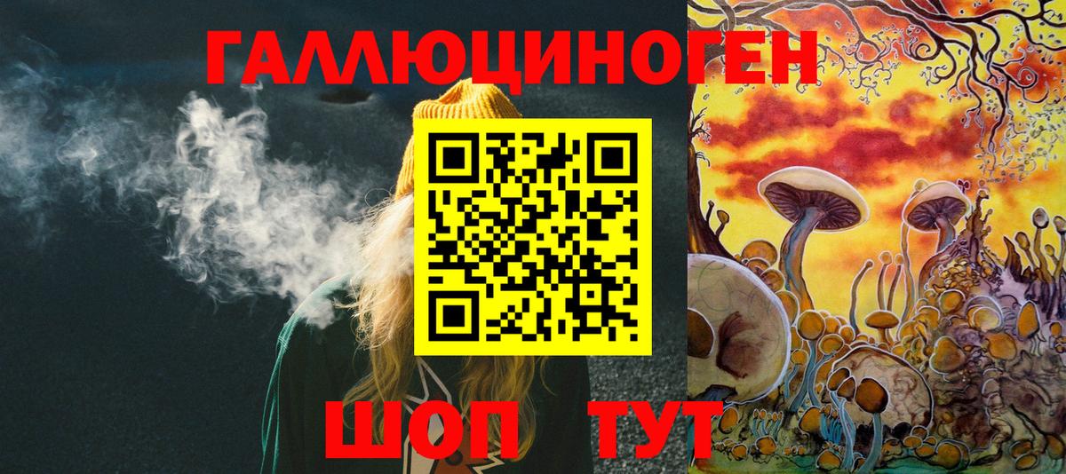 Шарыпово  Галлюциногенные грибы прущие грибы  Вход с VPN 