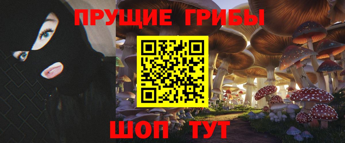 Галлюциногенные грибы Psilocybine cubensis Шарыпово